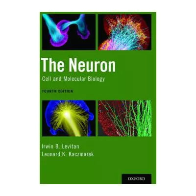 Neuron