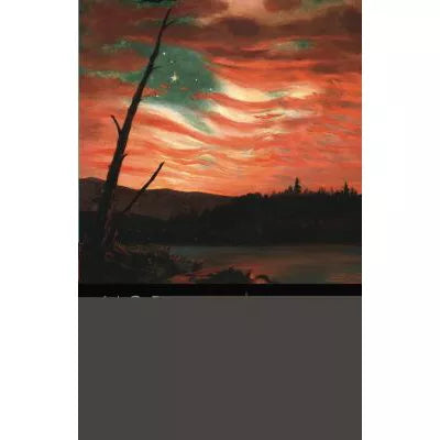 Norton Anthology of American Literature Vol. B